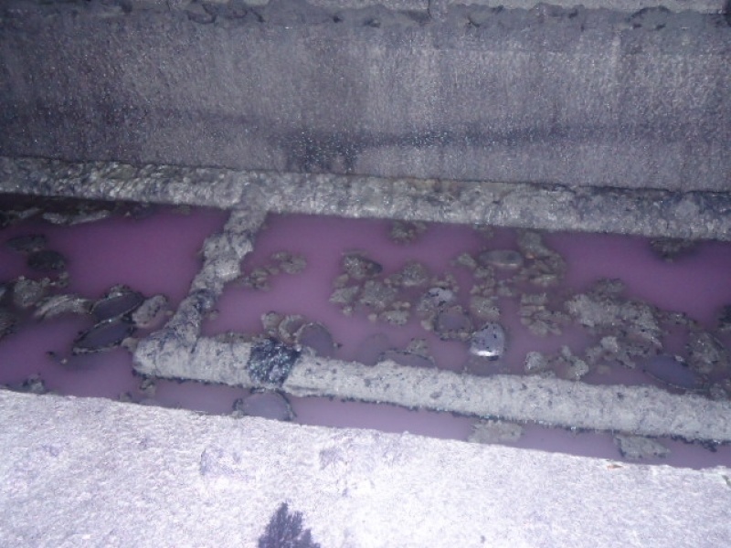 Descontaminação de Solo Preço em Rio Claro - Descontaminação de Resíduos em Sp
